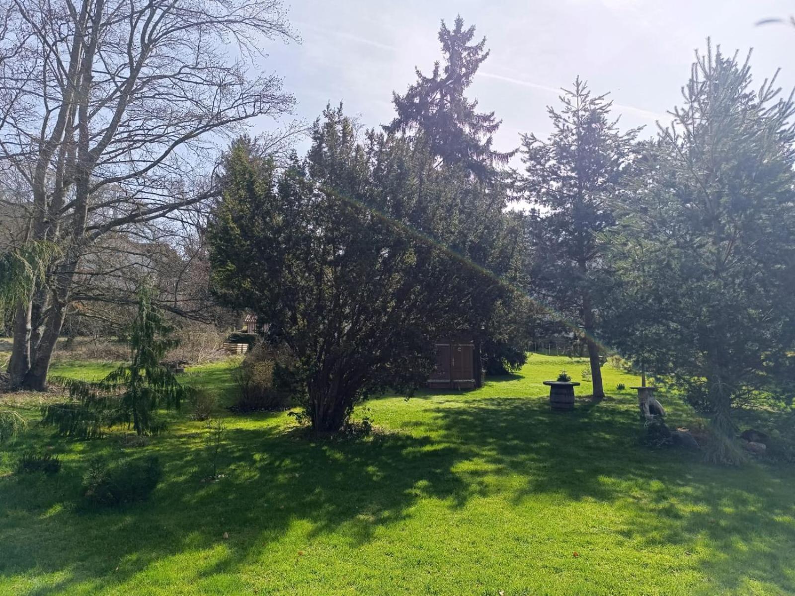 Ferienwohnung Waldblick Bad Dürrheim Esterno foto